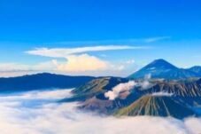 20190411 111947 4266 t