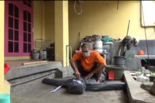 Screenshot 20240123 142318 Video Player