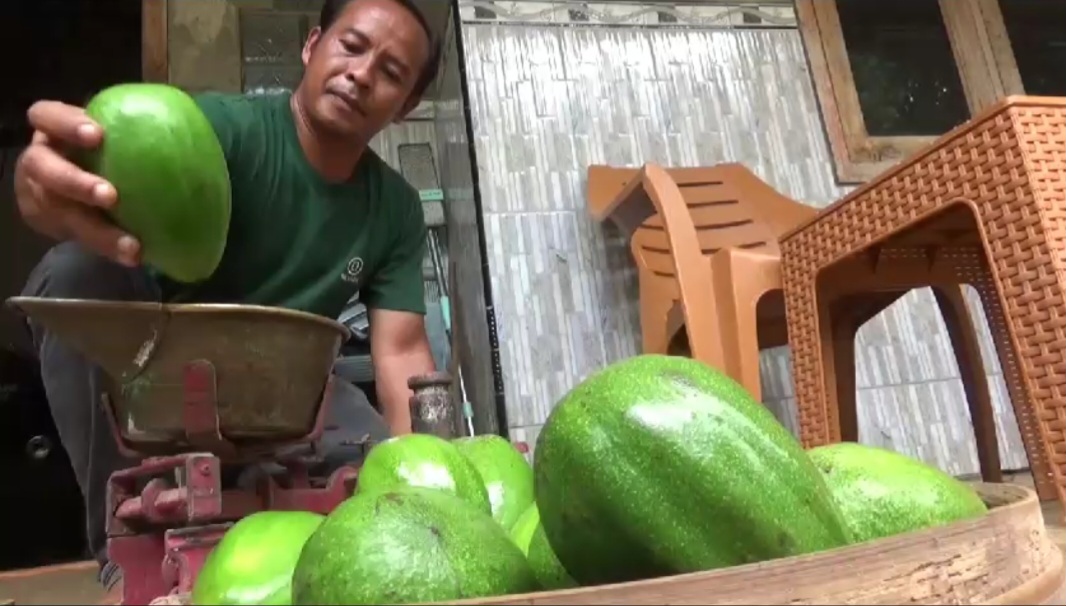 Screenshot 20240127 180458 Video Player