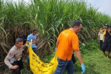 Resizer 17140040564371