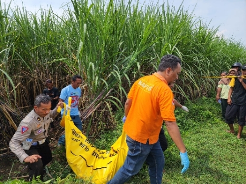 Resizer 17140040564371