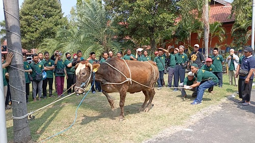 Jelang Idul Adha, DKPP & JULEHA Beri Pelatihan Penyembelihan Halal 11 54