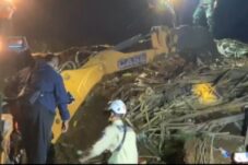 Resizer 17197662184231