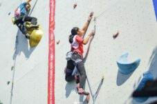 99586493 7d9c 484a b226 19d7b1edf8ff