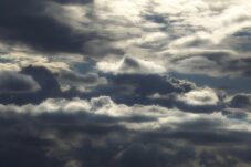 FBED0699 DD5D 414A AB62 671881B60AB1