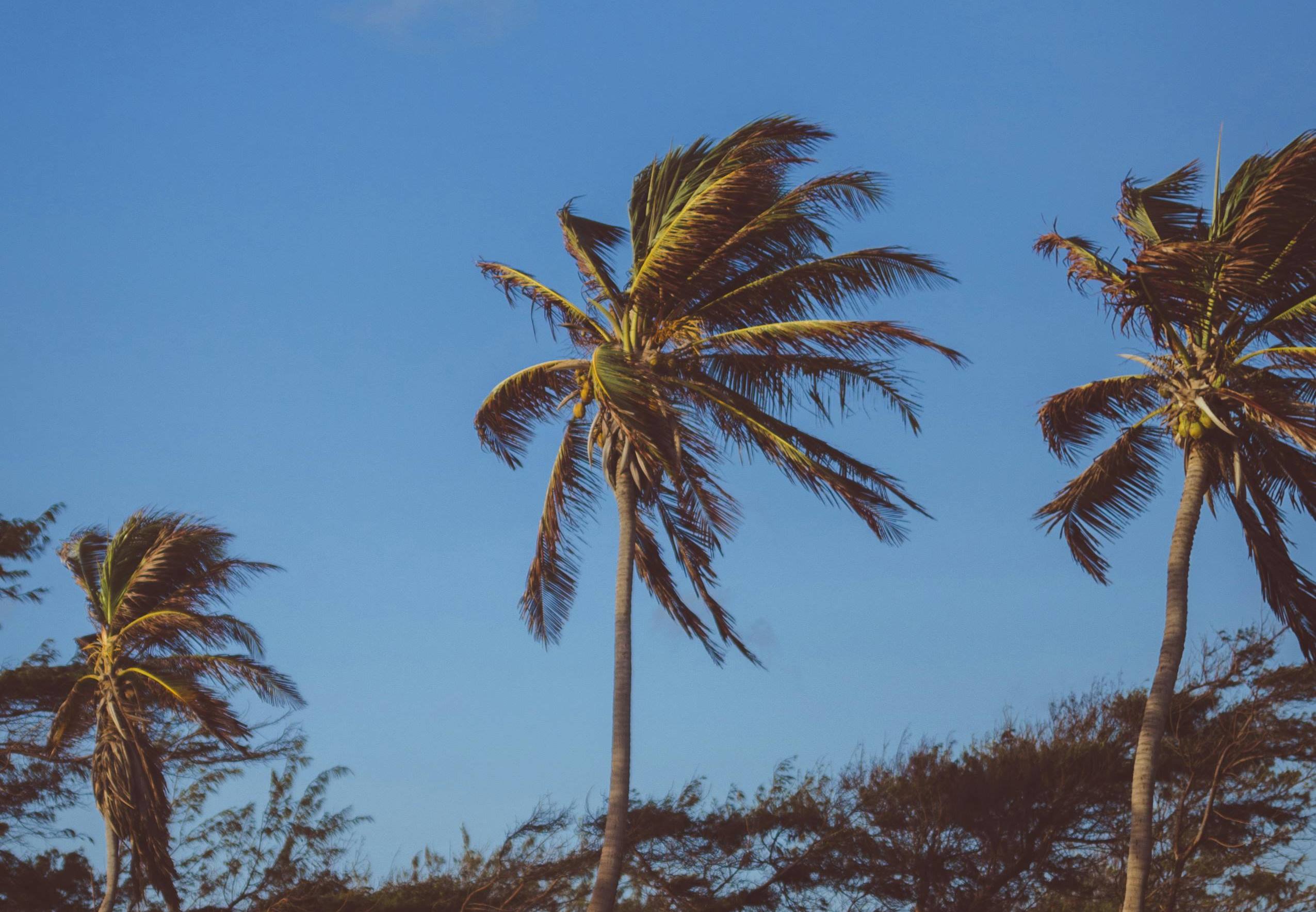 pexels messalaciulla 936548