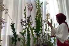 13d7d837 2a90 4a7f 91ff 965156d95623