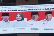 31d532f5 c84e 41e4 bd3f df1518b54609