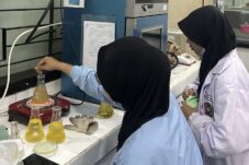 3b0d662d 826a 4982 9cf5 79d626a8f1b5