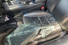 52dfba0b 3e7f 41b5 855a 4d788359e38e