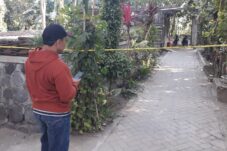 5a529780 8701 440f ad14 4e0f773d1ed3