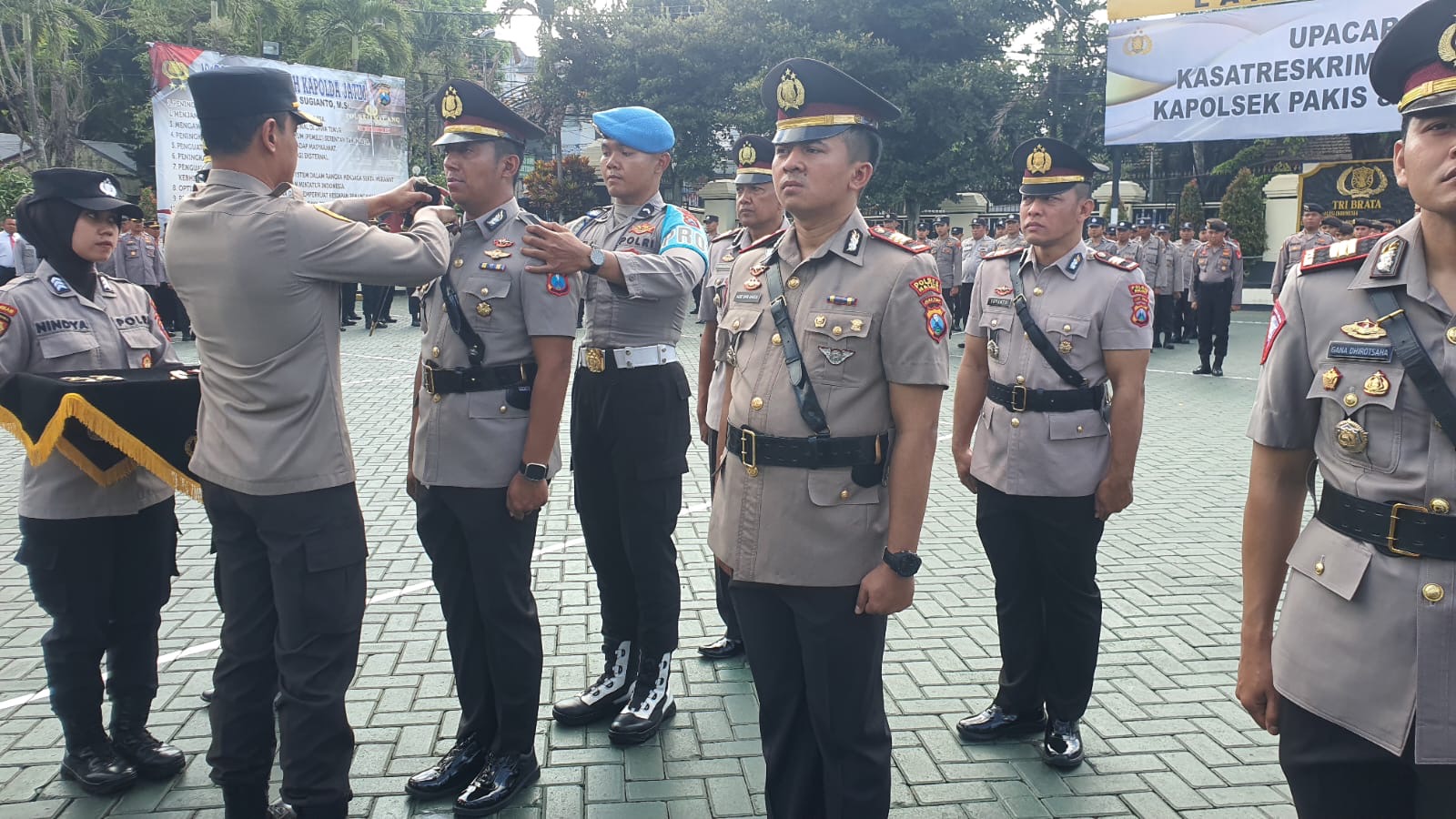 6172e692 4d4d 49cb 957c 62dbd4dd201c