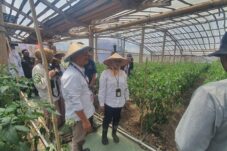 6d0f5b29 5b61 4a51 8a03 6f6bb45f1e21