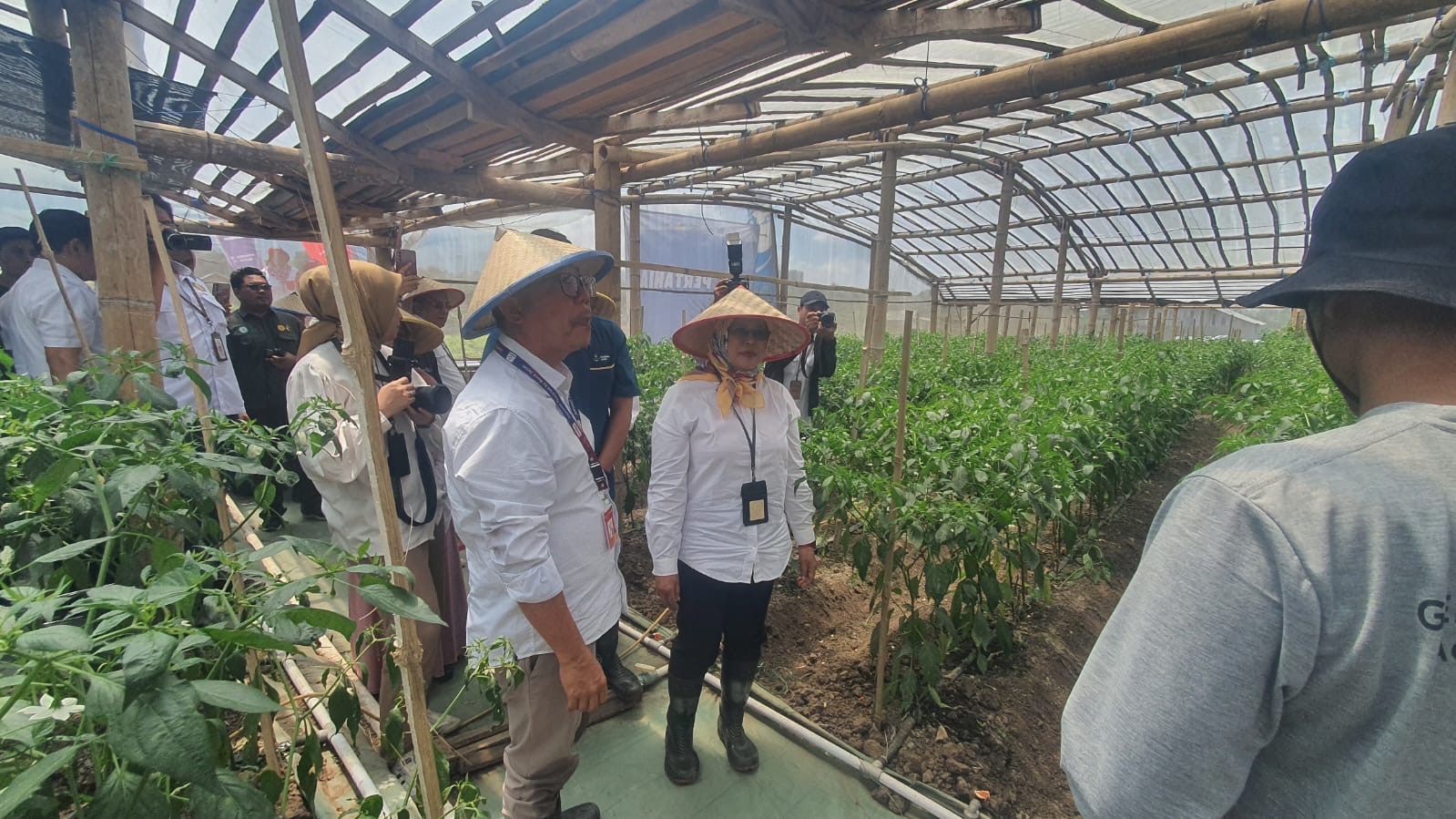 6d0f5b29 5b61 4a51 8a03 6f6bb45f1e21