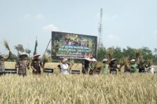 997a69ae 3c2e 424d 8c7f 38e5f8136ed6