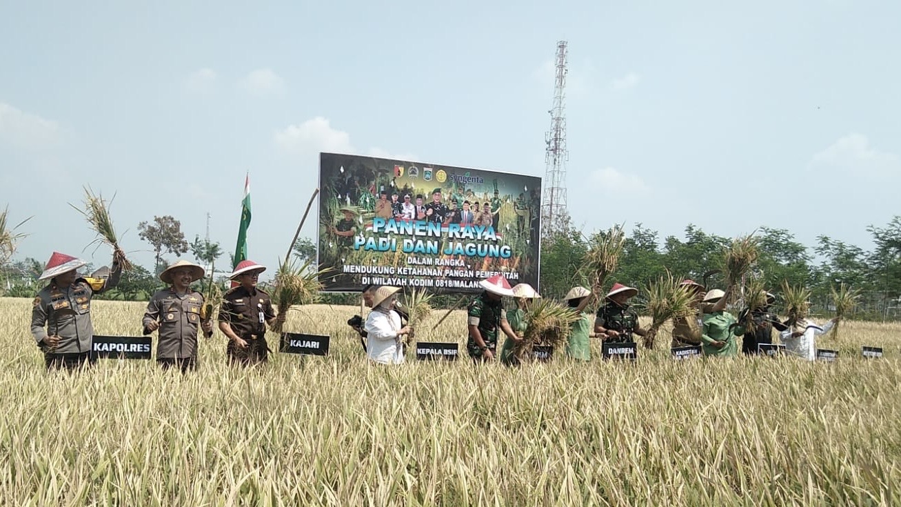 997a69ae 3c2e 424d 8c7f 38e5f8136ed6