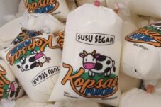 Susu Olahan Produksi Koperasi Sae Pujon Kabupaten Malang