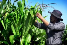 WhatsApp Image 2024 09 06 at 02.09.05