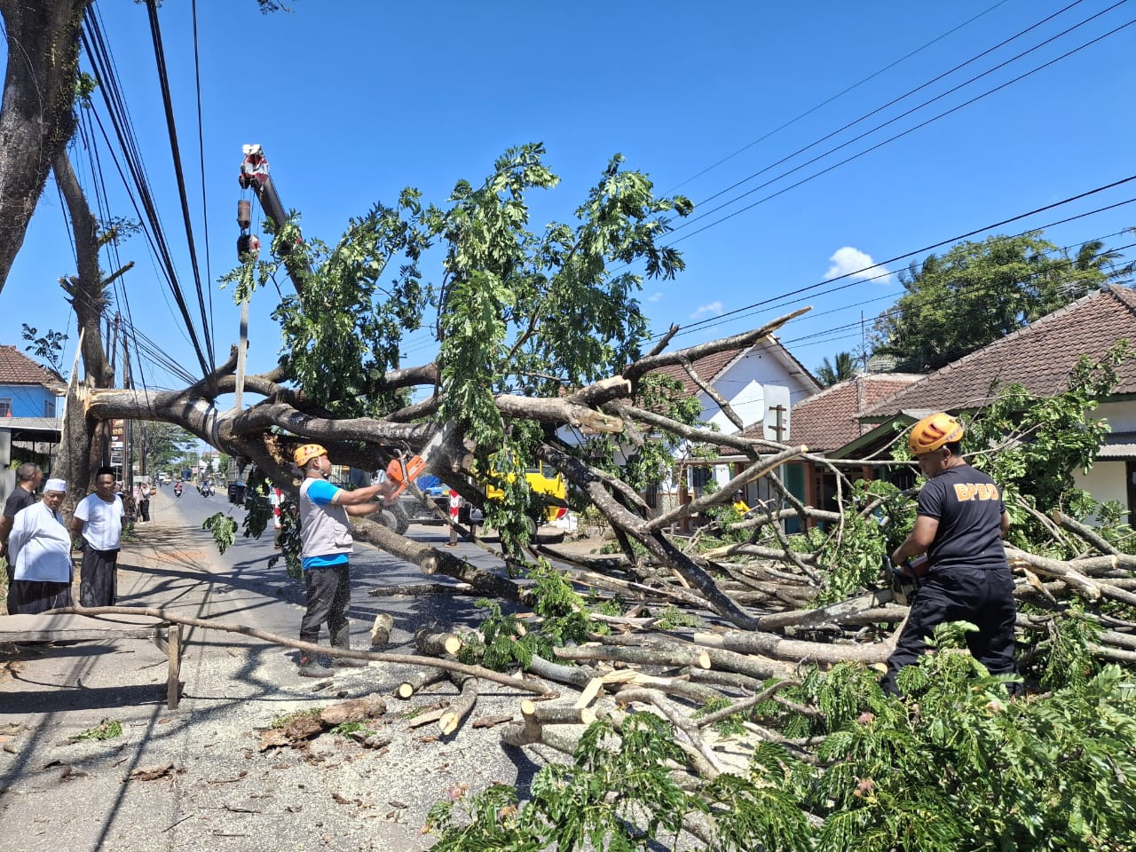 WhatsApp Image 2024 09 13 at 06.10.16