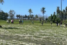 ad16589b bf8b 4d8b 8266 1614fbef13e6