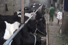 b0c7eea0 f328 46cc 8a70 6f53802f614e