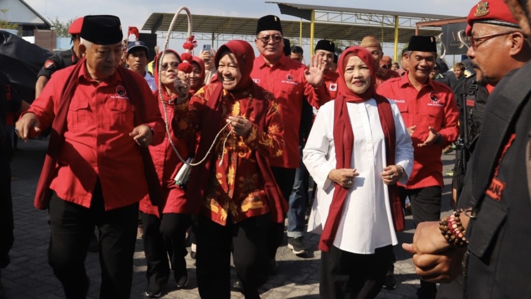 b0fe1cc3 ff84 47e3 a054 353631dbe3ff