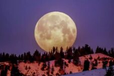 d51ae909 7137 4399 a0d4 e3022c130188