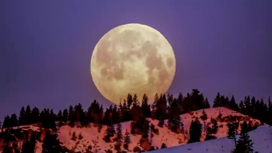 d51ae909 7137 4399 a0d4 e3022c130188