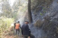 Kawasan Hutan TNBTS Terbakar 18 d8af4e9e 4e79 4e22 acc2 fc31d11445ca