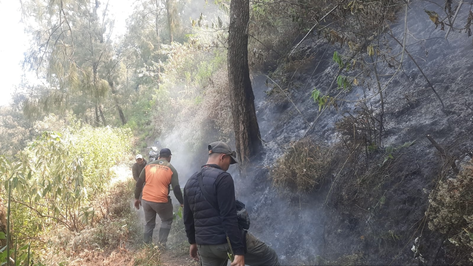 d8af4e9e 4e79 4e22 acc2 fc31d11445ca