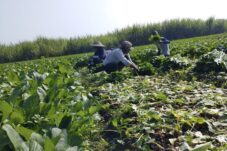 fec08637 5542 45b9 8dc8 58ed1c6f4a11