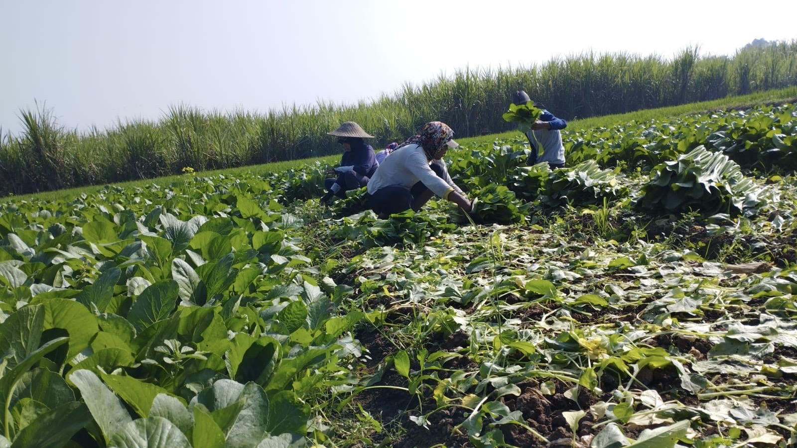 fec08637 5542 45b9 8dc8 58ed1c6f4a11