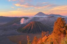 pexels irl n 16125079