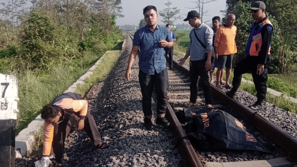 0abe6de8 495b 4a6a a6fd 56d186065df7