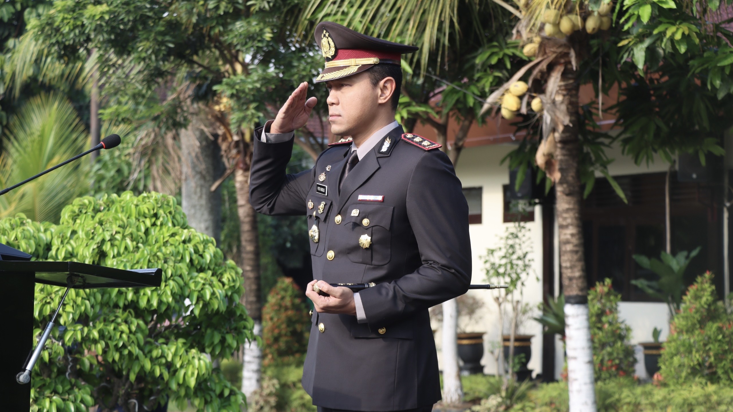 3ee1dbfb b24d 4590 9dc0 4645bd0c3ae2