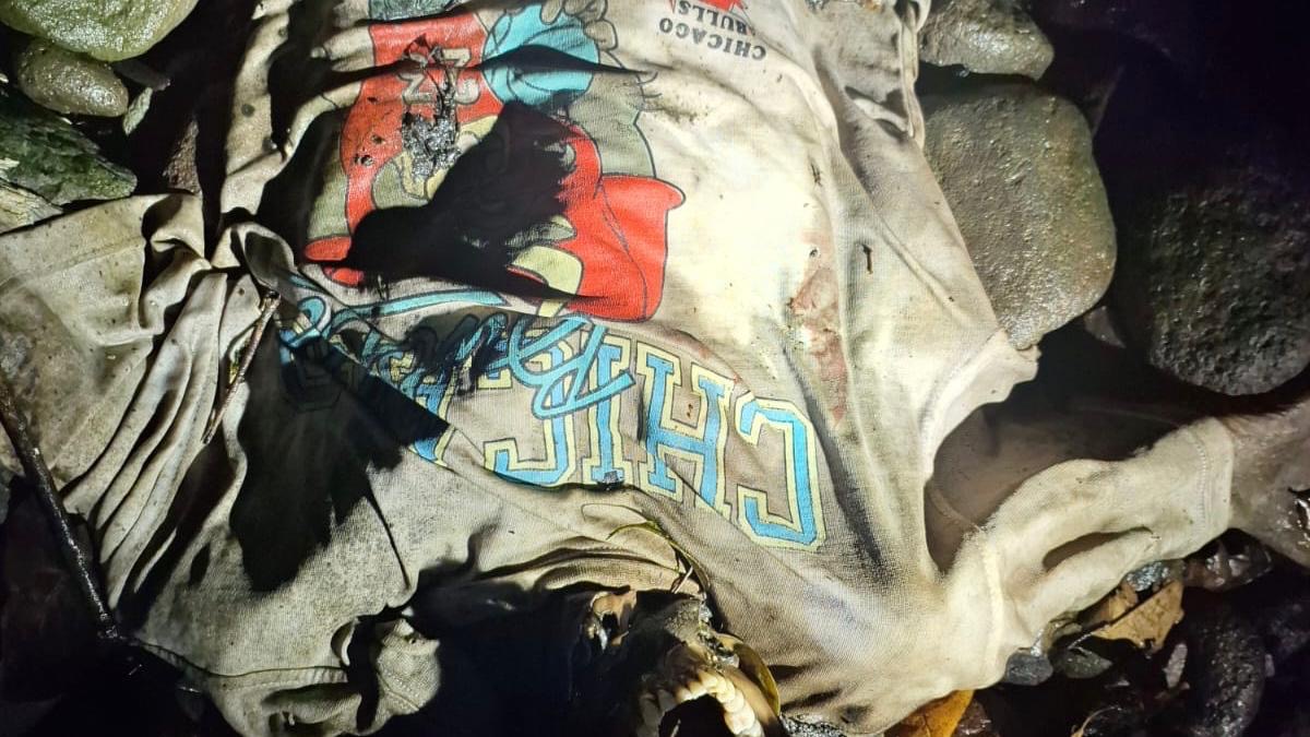 Ini Ciri-ciri Kerangka Manusia yang Ditemukan di Coban Keling Wagir 3 5c00a46e 3c12 4bd1 ad9e 23db24f22ea1