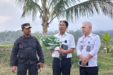 WhatsApp Image 2024 10 31 at 16.01.34