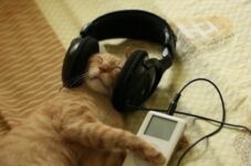 a10dcb4b 8f03 4361 b010 0a4511c2476c