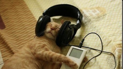 a10dcb4b 8f03 4361 b010 0a4511c2476c