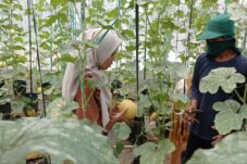 photo 2024 10 10 04 11 26