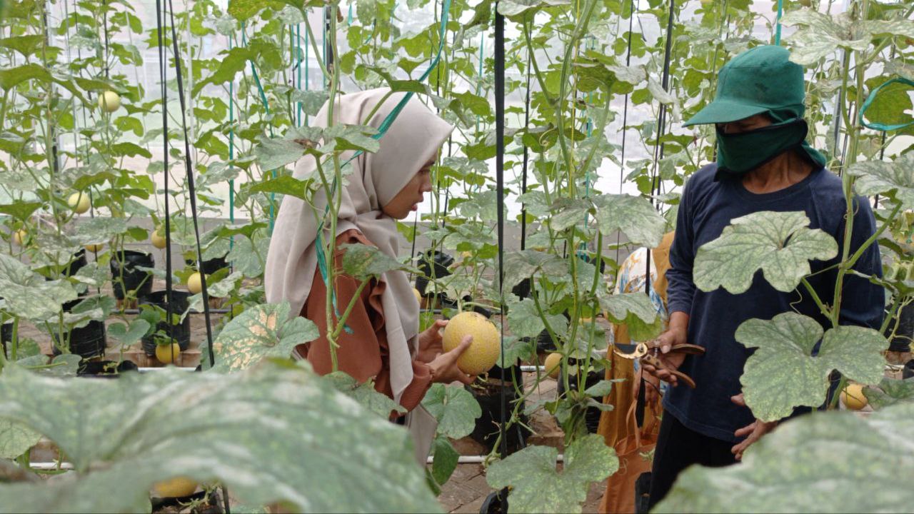 photo 2024 10 10 04 11 26