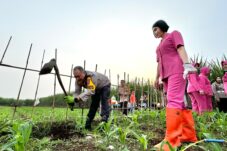 56a63d40 3190 4f4f bb63 3fb1d1694126