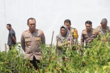 Resizer 17321866900051