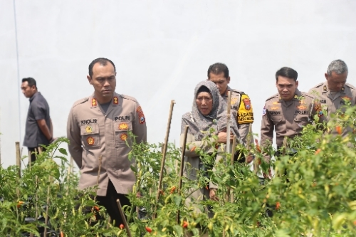 Resizer 17321866900051