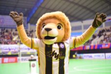 WhatsApp Image 2024 11 04 at 10.29.38