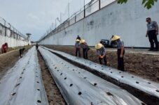 d3658cd5 aaad 4e86 a2d6 e693e91d44f9