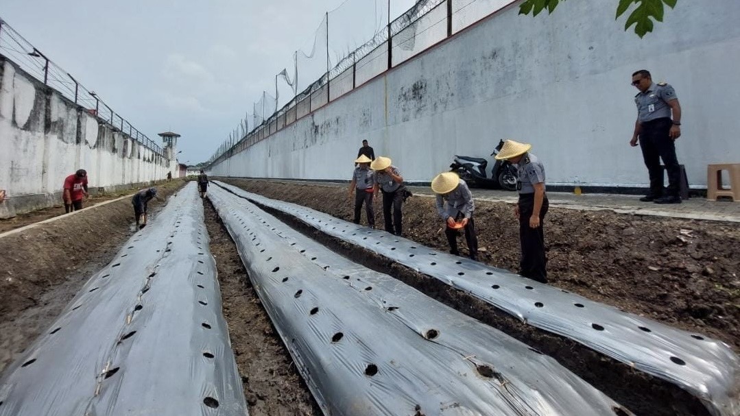 d3658cd5 aaad 4e86 a2d6 e693e91d44f9