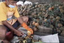 ff25189c e542 4068 b7bc c40217ff46e2