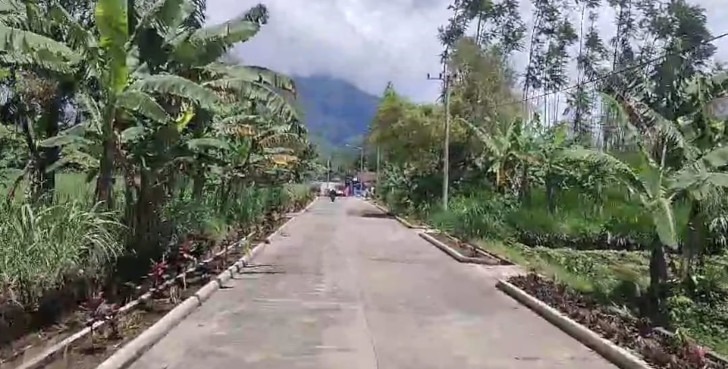 Sukses Berjualan Bakso, Ferry Perbaiki Jalan Rusak di Desa Balesari Kabupaten Malang