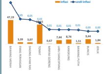 Bawang Merah Sumbang Inflasi Terbesar di Kota Malang